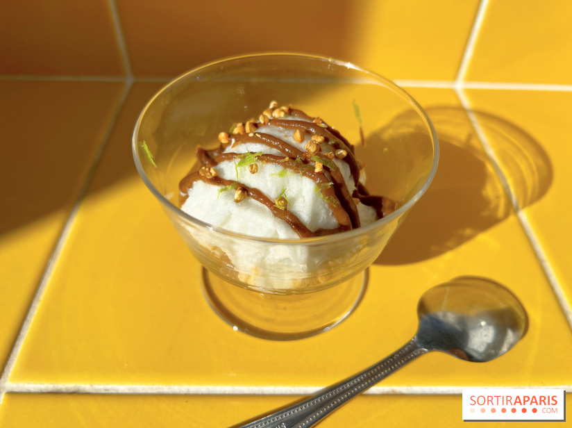 Tout Day - Ile flottante ail noir