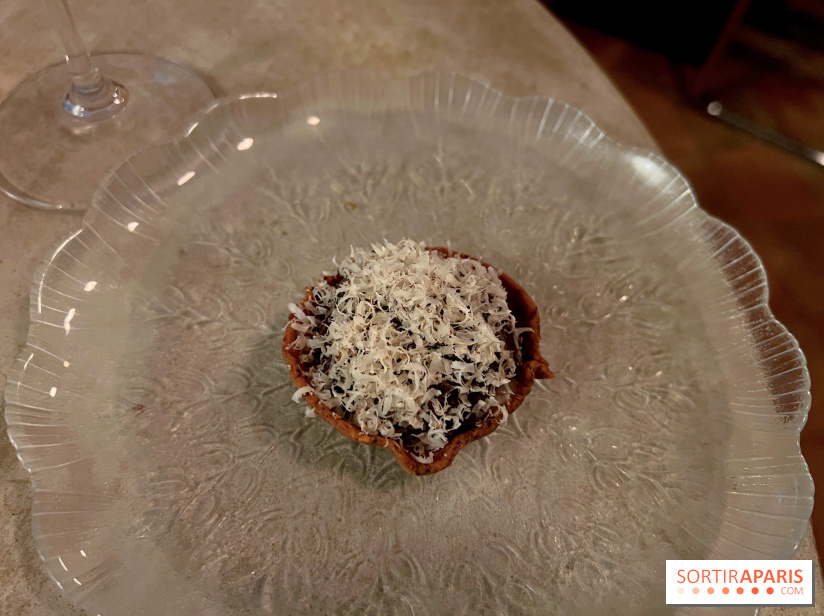 Vivide - Tout noisette