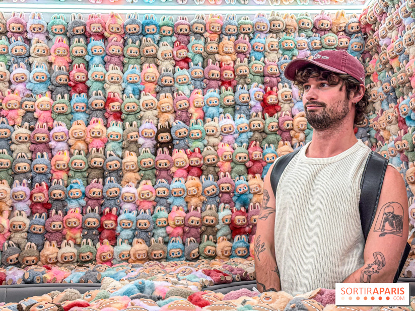 Exposition Labubu à Paris : THE MONSTERS fête ses 10 ans lors d’une rétrospective - IMG 4300