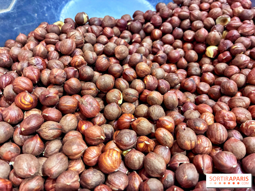 Atelier rocher praliné Edwart Chocolatier - IMG 3883