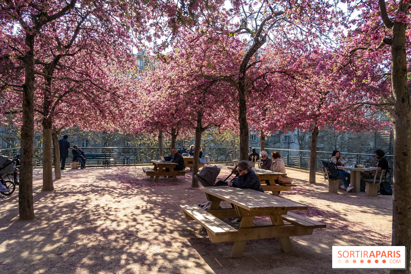 Les pommiers et cerisiers en fleurs du Jardin de Reuilly, Parc de Reuilly à Paris 12e - photos - pique nique