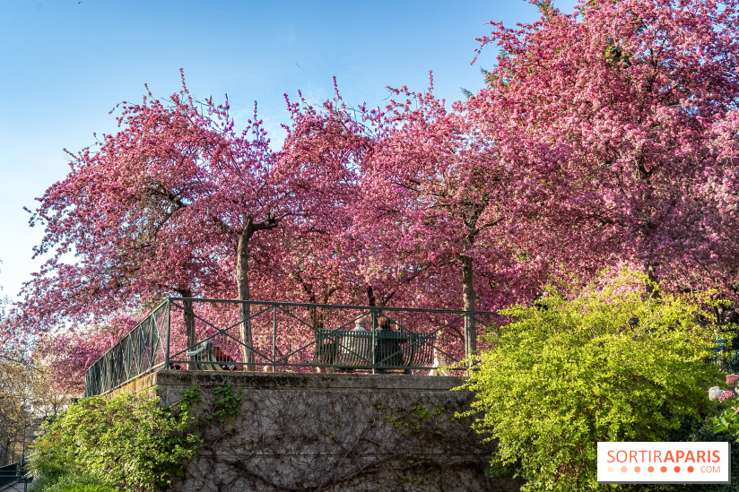 Les pommiers et cerisiers en fleurs du Jardin de Reuilly, Parc de Reuilly à Paris 12e - photos