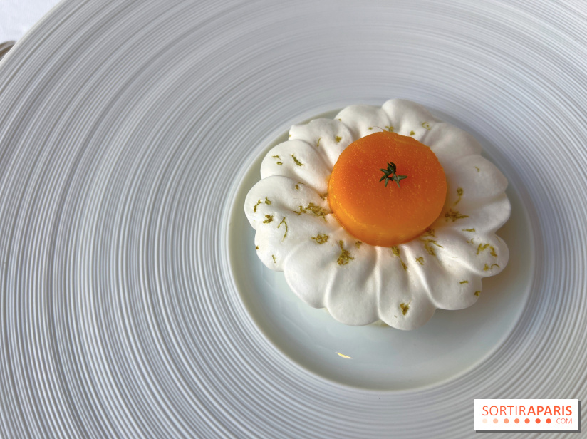 Alliance - Dessert mangue, ananas, glace thym citron, meringue acidulée 