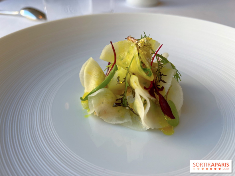 Alliance - Tourteau en fine raviole de radis, mayonnaise maison, huile curry, pomme verte 