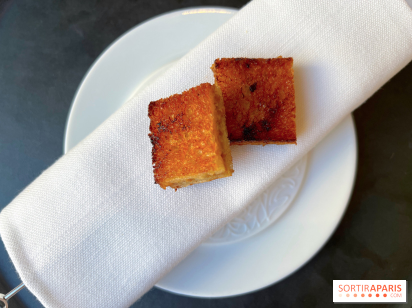 Alliance - Croque aux barbes de Saint-Jacques