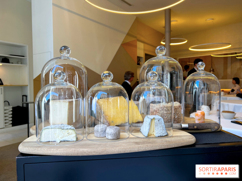 Alliance - Crottin cendré, Vermenton, Langres, Fourme d'Ambert, Laguiole, tomme de brebis