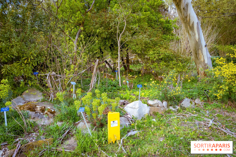 Le jardin botanique de Launay et arboretum de l'Université Paris Saclay à Orsay - les photos - A7C09556