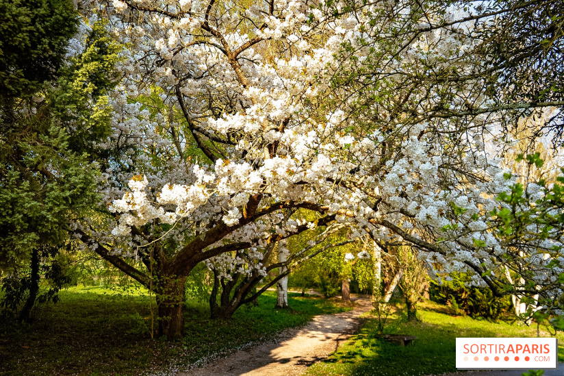 Le jardin botanique de Launay et arboretum de l'Université Paris Saclay à Orsay - les photos