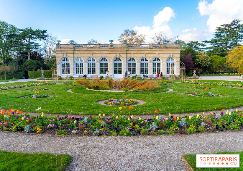 Le Parc de Bagatelle au printemps, cerisier, tulipes et jonquilles - photos