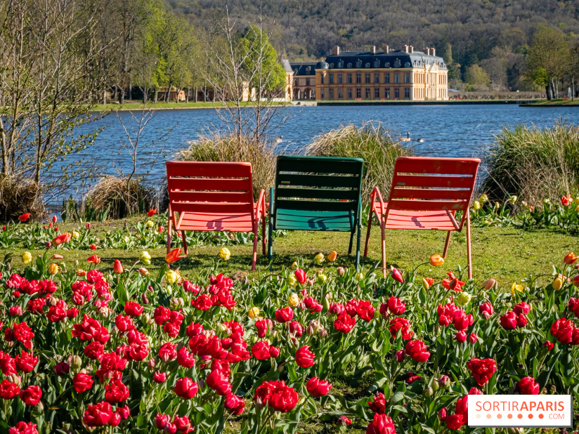 Les tulipes du Château de Dampierre, son jardin anglais et le jardin Le Nôtre