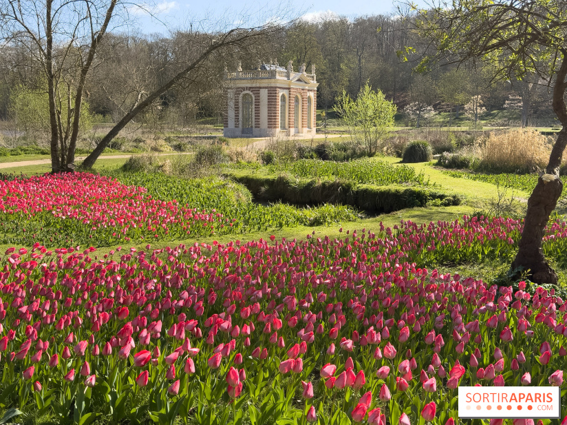 Les tulipes du Château de Dampierre, son jardin anglais et le jardin Le Nôtre