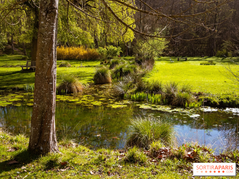 Les tulipes du Château de Dampierre, son jardin anglais et le jardin Le Nôtre - IMG 2953