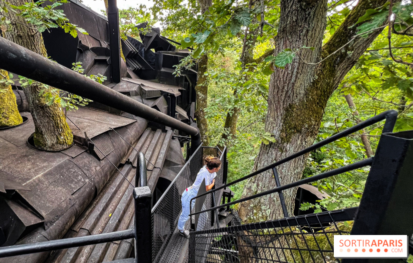 Le Cyclop, le géant d’acier caché dans les bois de Milly-la-Forêt - IMG 6089