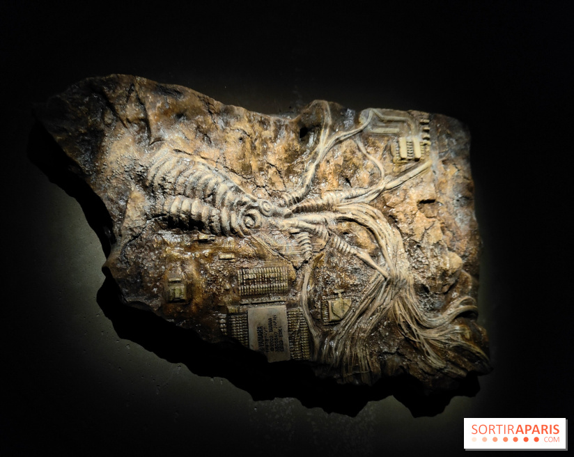 Les Extatiques souterrains : un parcours artistique introspectif sous la Grande arche de La Défense - fotor 1775122120427