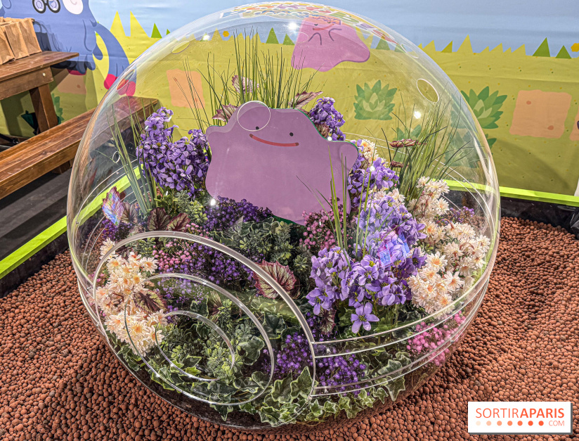 Pokémon Pokopia : un espace détente gratuit pour vous immerger dans le jeu aux Ateliers Gaîté - IMG 5806