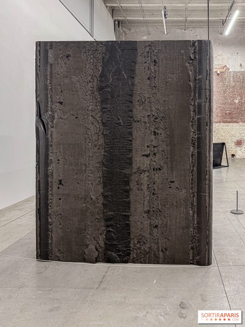 Au Palais de Tokyo, Cheryl Marie Wade explore la culture crip et la poésie engagée - IMG 5951