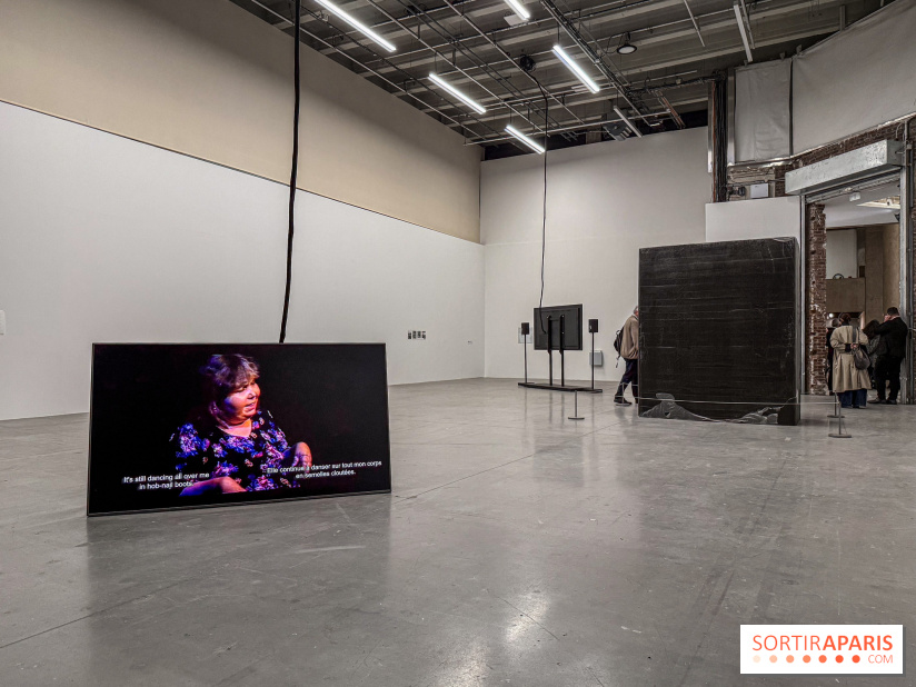 Au Palais de Tokyo, Cheryl Marie Wade explore la culture crip et la poésie engagée - IMG 5955