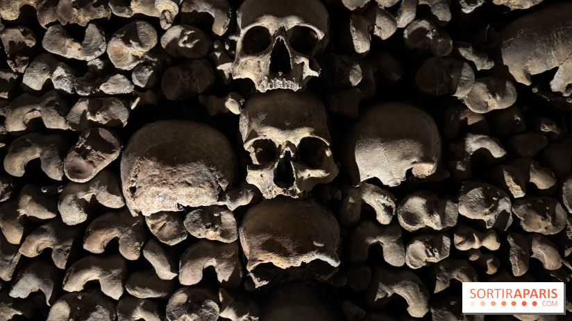 Les Catacombes de Paris 2026 - IMG 3686