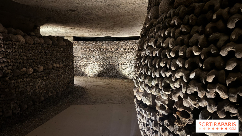 Les Catacombes de Paris 2026 - IMG 3728
