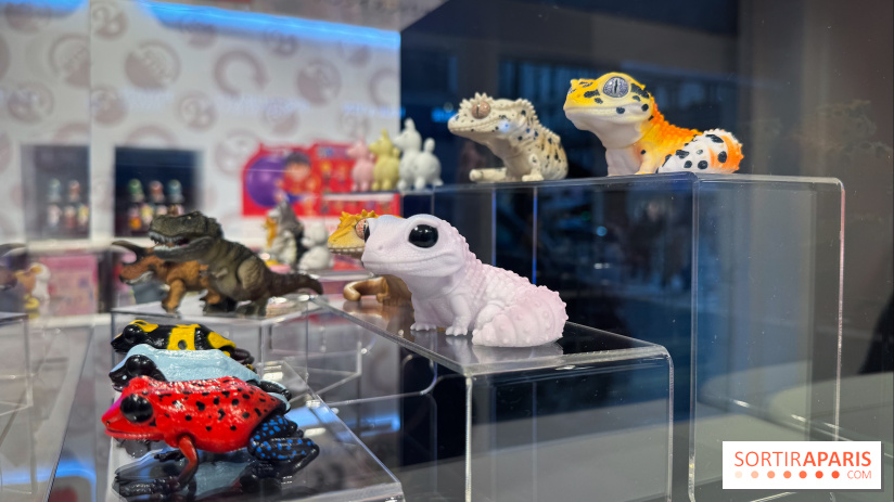 Boutique Gashapon Rue Rivoli