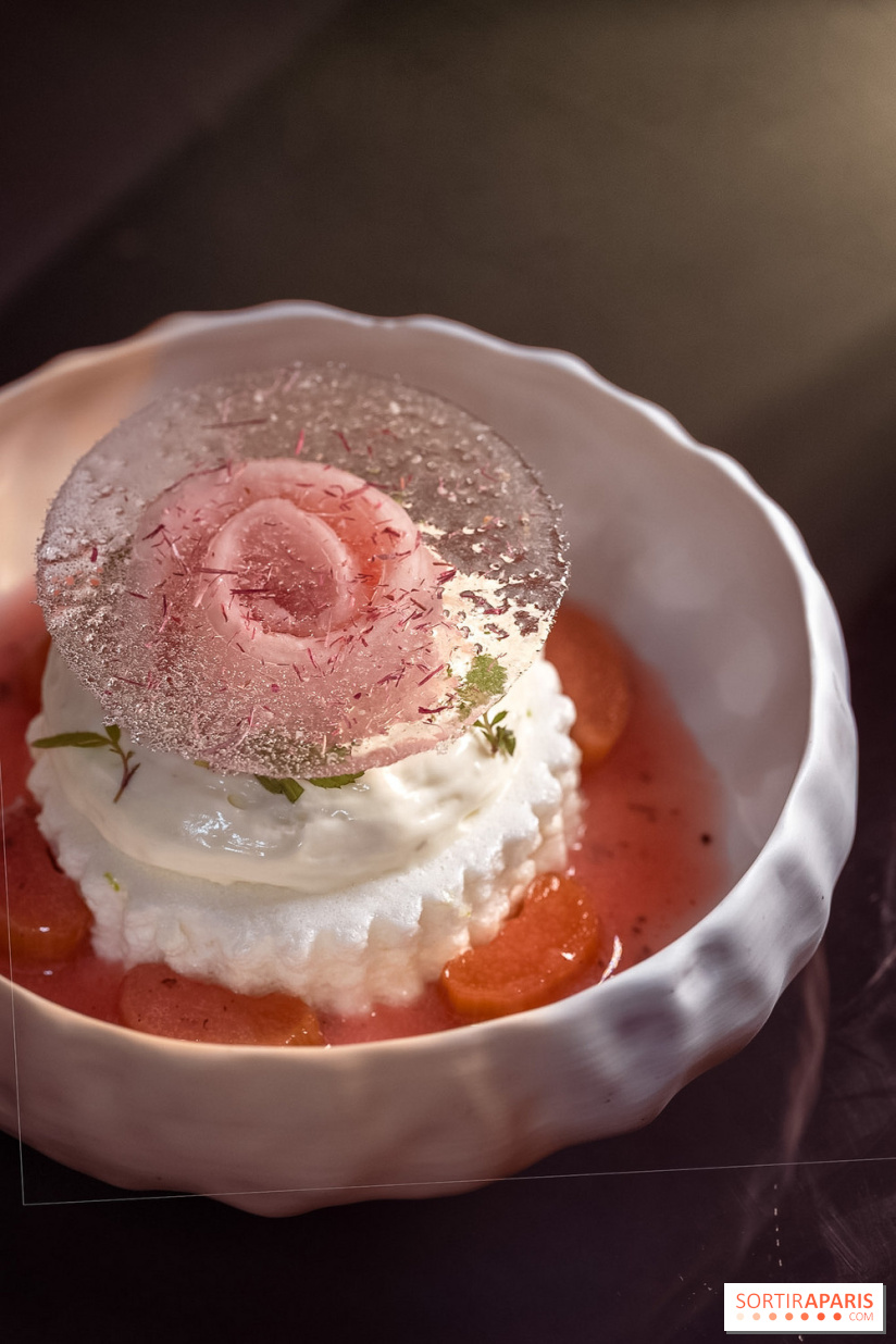 Rivages restaurent de la mer du Scribe Opéra Paris 9e, les photos - rhubarbe