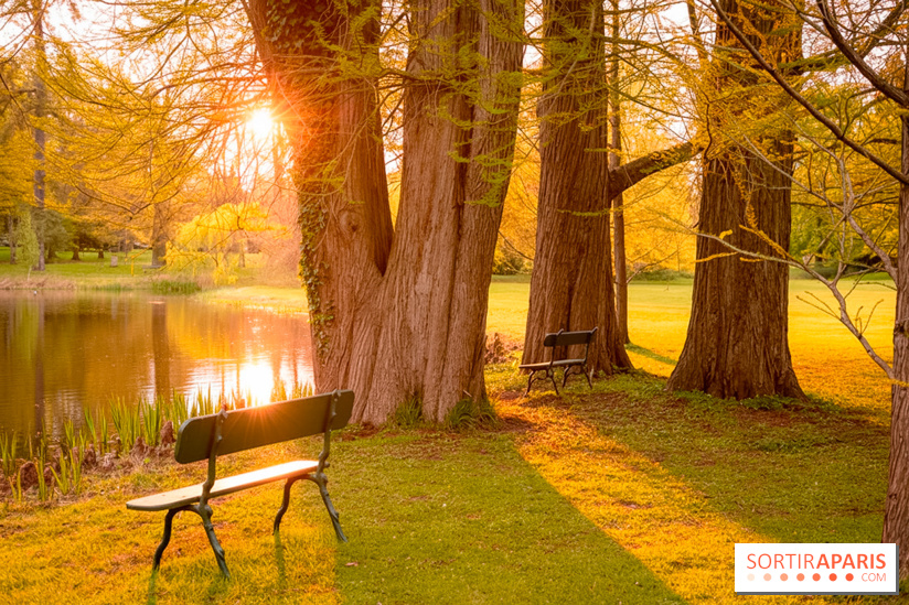 Château de Courson et son domaine : Parc Botanique et Jardin Remarquable en Région Parisienne  - A7C02963 Edit