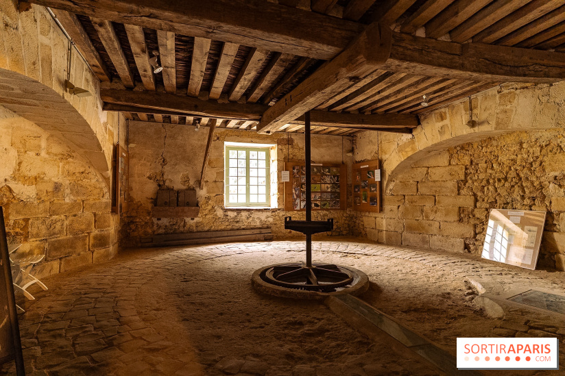Château de Courson et son domaine : Parc Botanique et Jardin Remarquable en Région Parisienne  - A7C03070