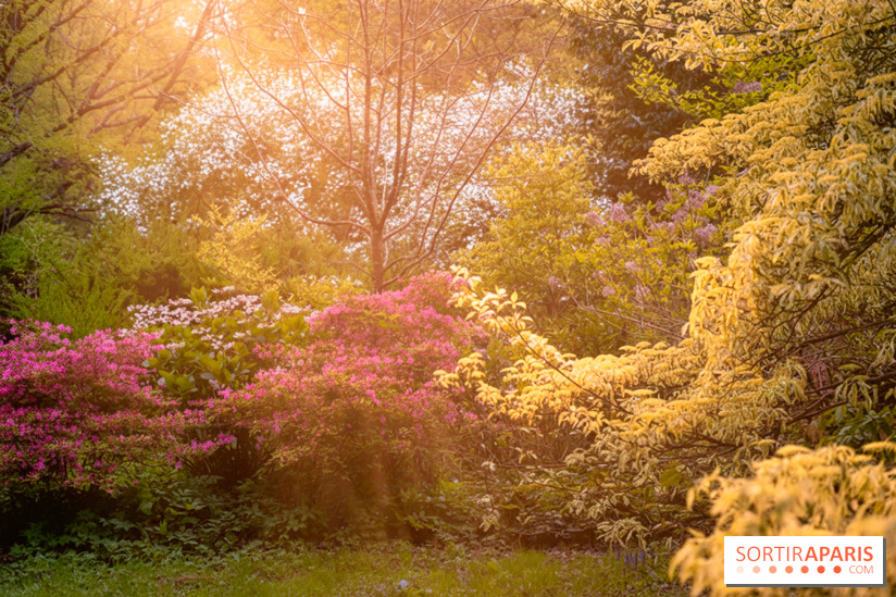 Château de Courson et son domaine : Parc Botanique et Jardin Remarquable en Région Parisienne  - A7C02951 Edit