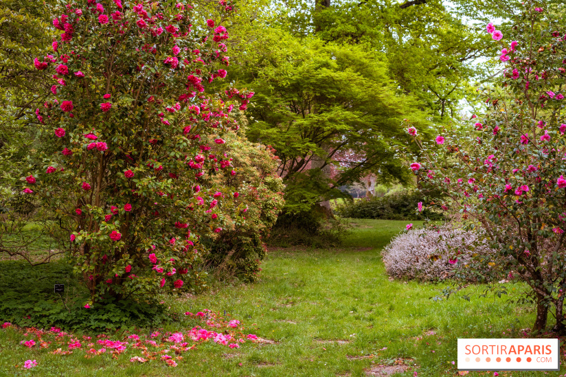 Château de Courson et son domaine : Parc Botanique et Jardin Remarquable en Région Parisienne  - A7C02940 HDR
