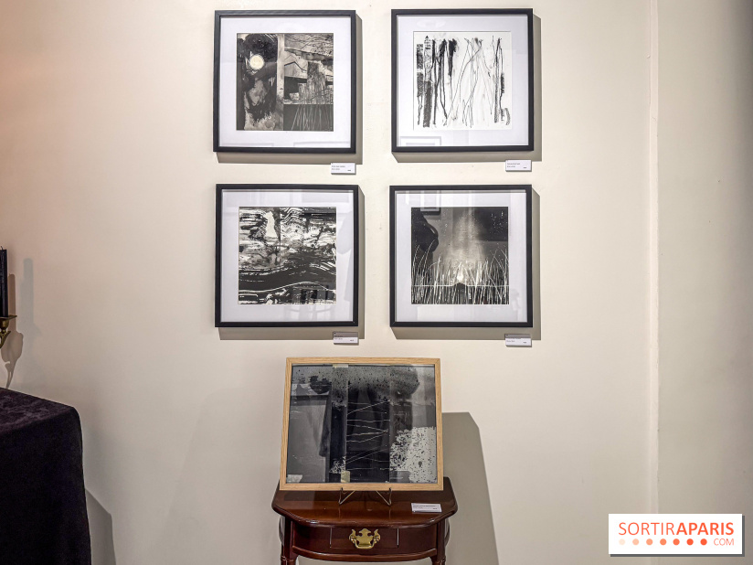 Fantôme à la galerie La Lison : exposition Avant les cendres