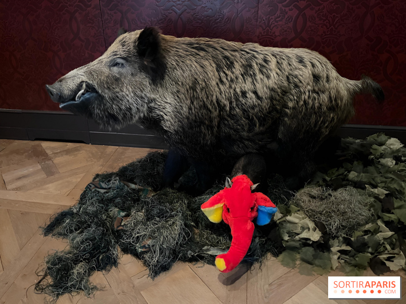 Annette Message au musée de la Chasse et de la Nature - nos photos