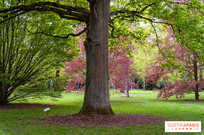 Le Château de Buc et son superbe domaine, parc paysagé aux nombreux trésors
