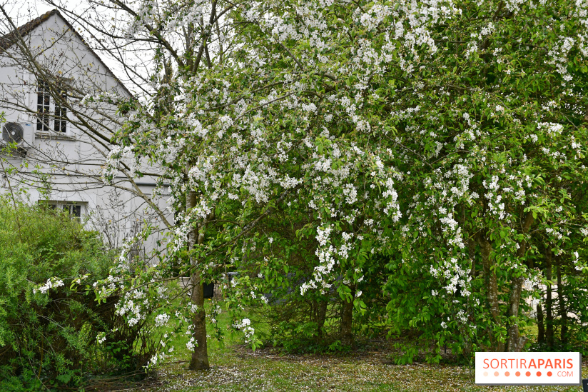 Le domaine de Bellevue, une belle escapade romantique en Seine-et-Marne - DSC 6526