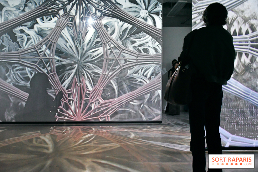 Illumination : l'art numérique coréen s'expose gratuitement aux portes de Paris - DSC 6697