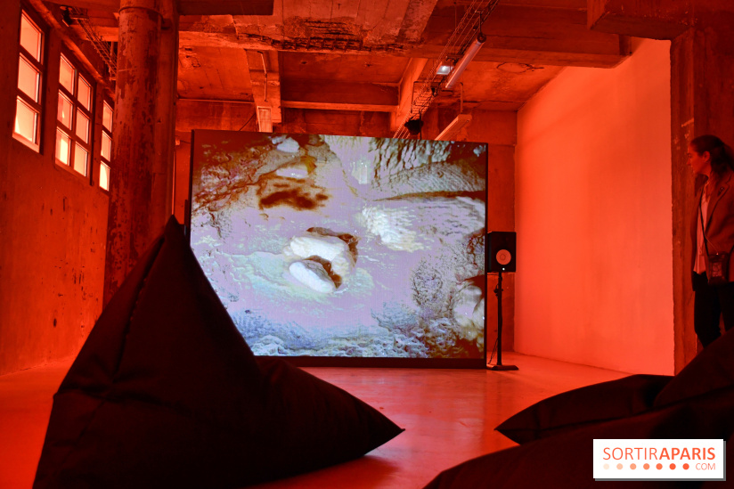 Illumination : l'art numérique coréen s'expose gratuitement aux portes de Paris - DSC 6717