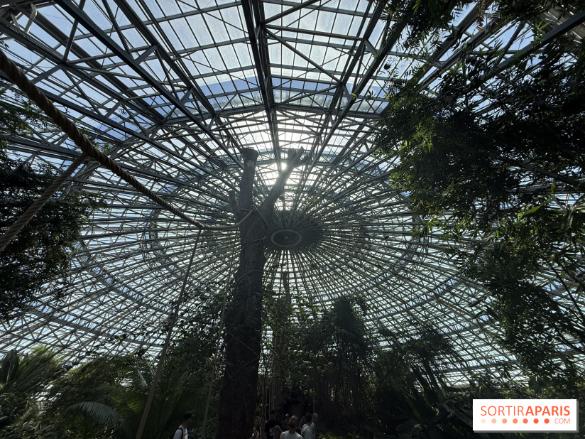 ZooParc de Beauval et Hôtel Les Pagodes de Beauval - IMG 5633