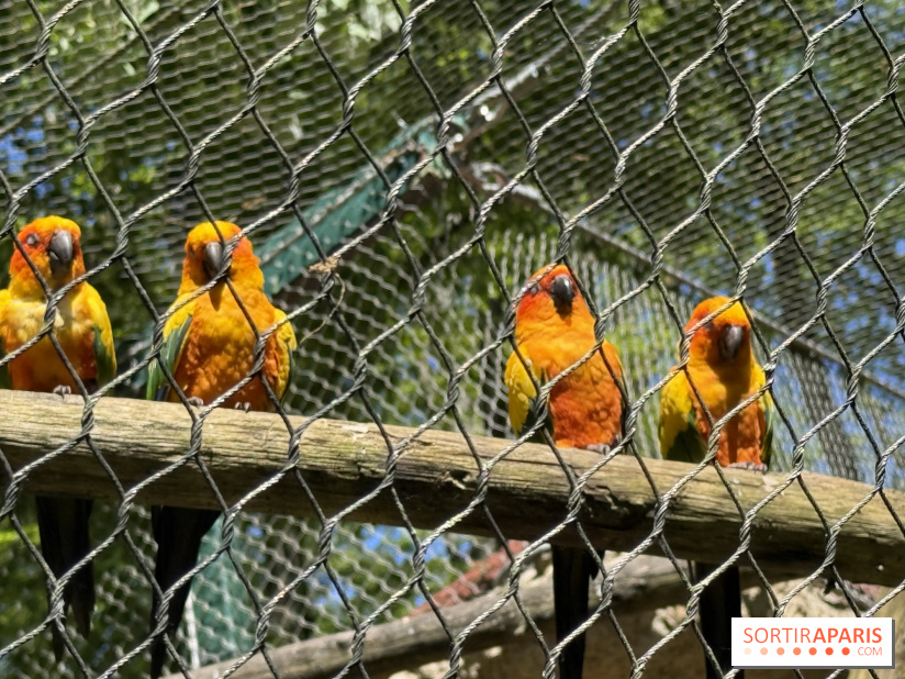 ZooParc de Beauval et Hôtel Les Pagodes de Beauval - IMG 5670
