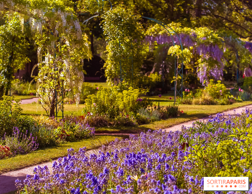 Le Parc des Ibis au Vésinet dans les Yvelines en Région Parisienne - photos  - A7200696