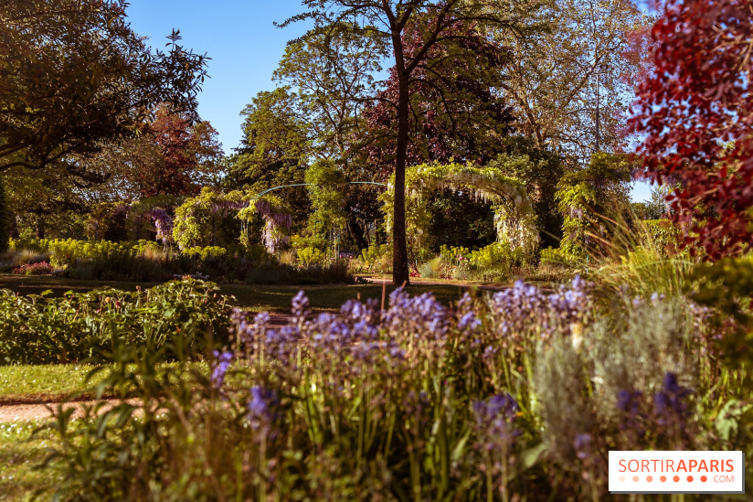Le Parc des Ibis au Vésinet dans les Yvelines en Région Parisienne - photos  - A7200588