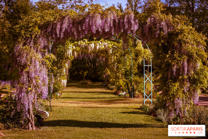 Le Parc des Ibis au Vésinet dans les Yvelines en Région Parisienne - photos  - A7200561