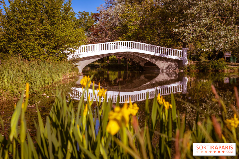 Le Parc des Ibis au Vésinet dans les Yvelines en Région Parisienne - photos  - A7200413