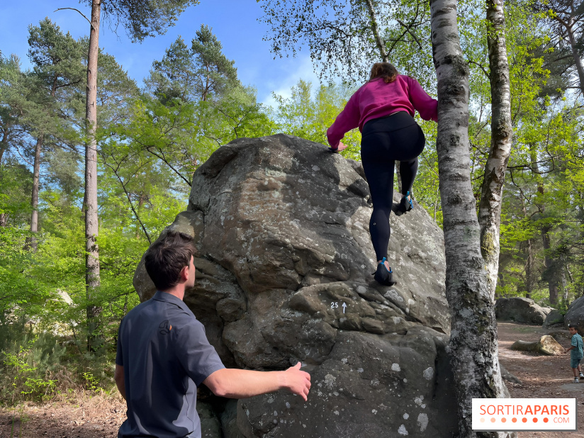 Escalade en Forêt de Fontainebleau - nos photos