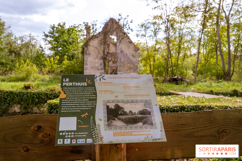 La terrasse du Moulin de Nemours, la guinguette estivale en bord de Loing 77 - A7C04924