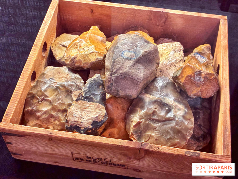 Préhistoire, entre utopie et réalité  - IMG 5589