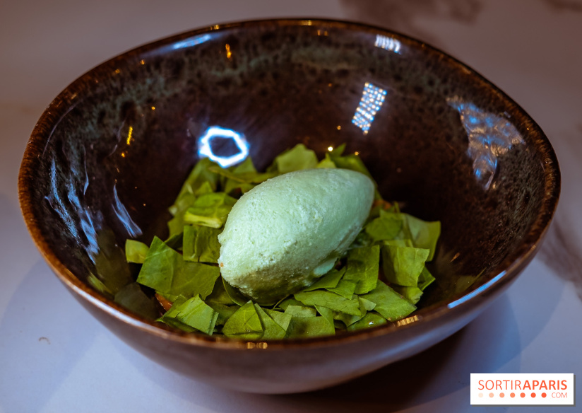 L'Orée des Sablons, restaurant à Fontainebleau - photos - dessert oseille cacahuète