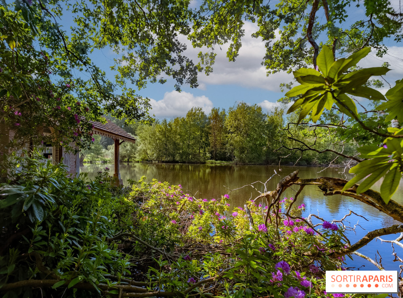 La réserve Naturelle des Etangs de Bonnelles, son pont kiosque, temple de l'amour et ses trésors - 2 Edit