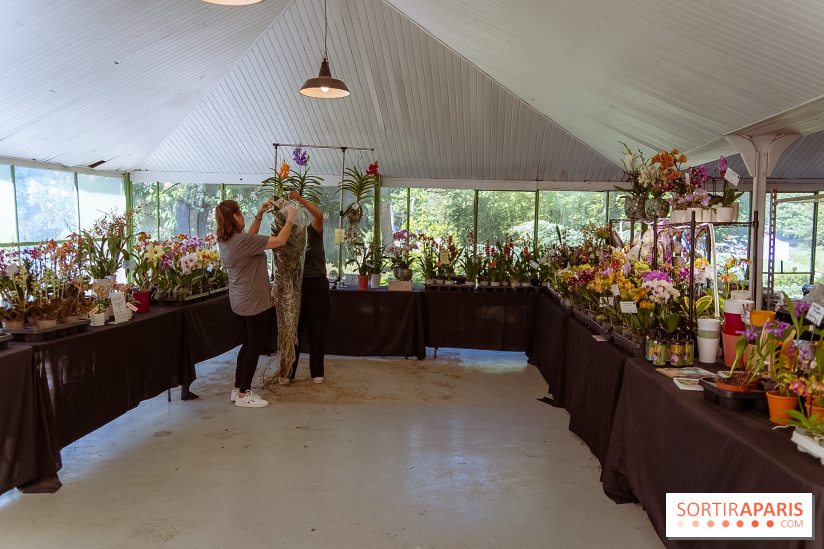 Fête des Plantes au Château de Dampierre dans les Yvelines - photos