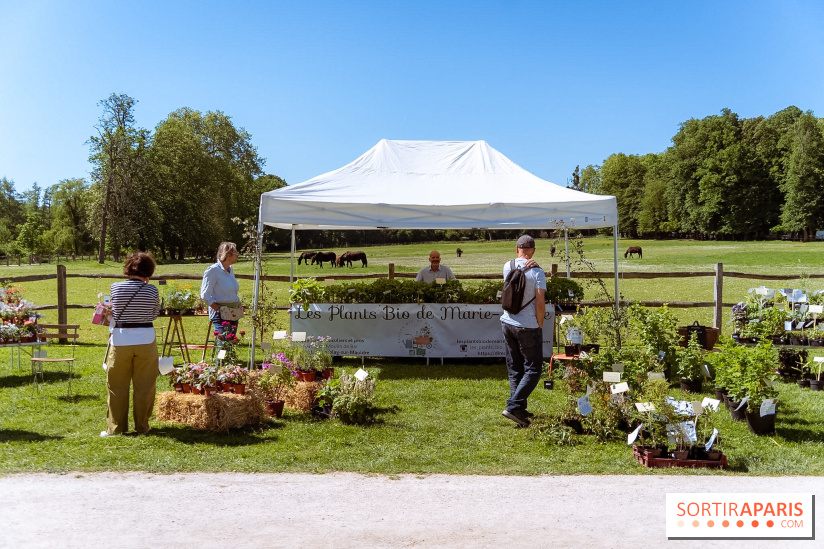 Fête des Plantes au Château de Dampierre dans les Yvelines - photos