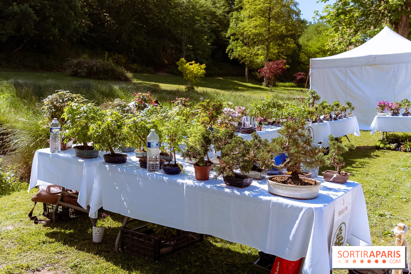 Fête des Plantes au Château de Dampierre dans les Yvelines - photos