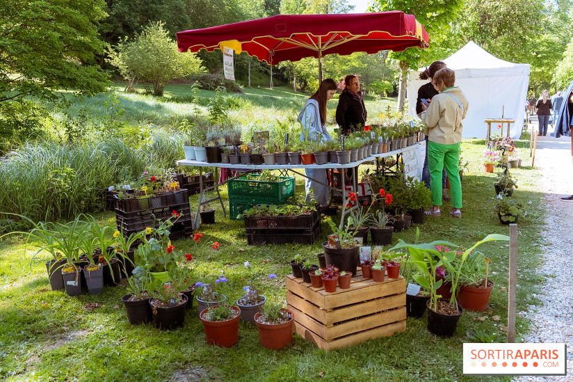Fête des Plantes au Château de Dampierre dans les Yvelines - photos